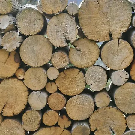 Grange Cornemusé Au Cœur Des Pyrénées Hébergement de vacances Beaucens