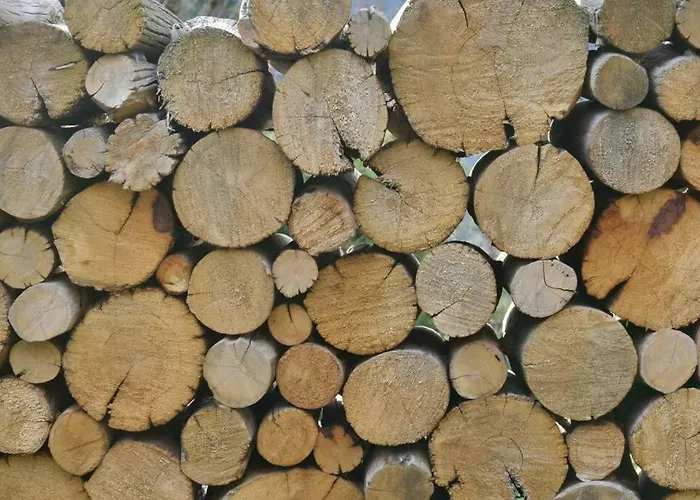 Grange Cornemuse Au Coeur Des Pyrenees Prázdninový dům Beaucens